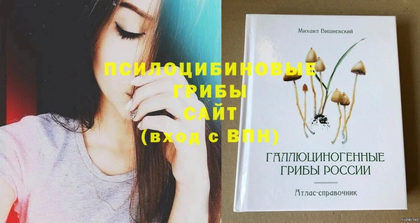 mdpv Алзамай