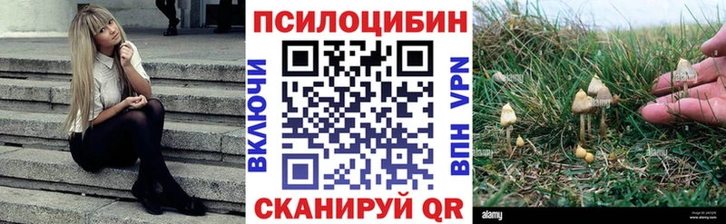 Галлюциногенные грибы Cubensis  Новая Ляля 